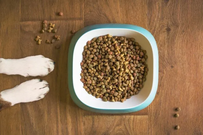 dog-food-5168940_1280