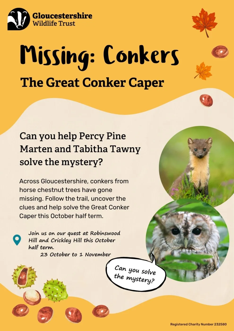 Great Conker Caper Posters